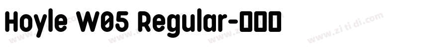 Hoyle W05 Regular字体转换